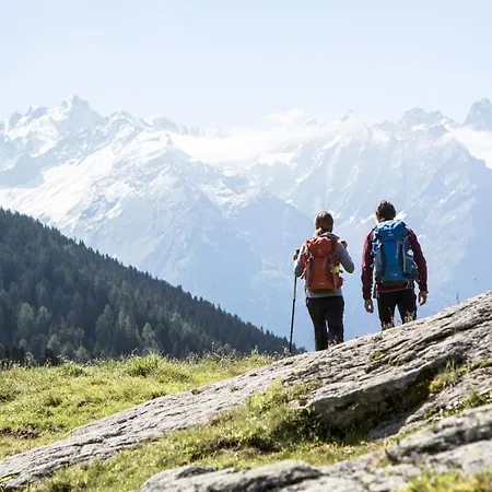 호텔 Alpin Feichtner Hof 4*